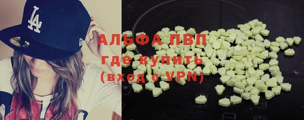 стаф Горняк