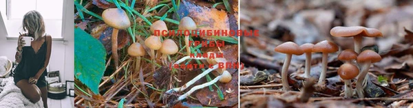 МДМА Горнозаводск
