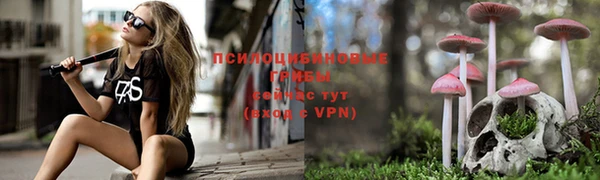 ECSTASY Горно-Алтайск