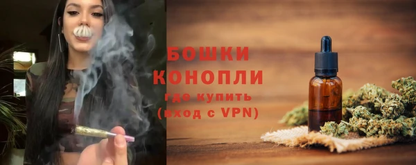 стаф Горняк