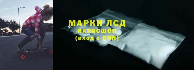 стаф Горняк