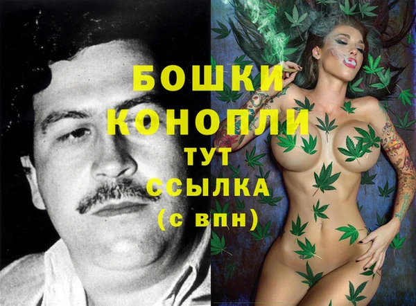 стаф Горняк
