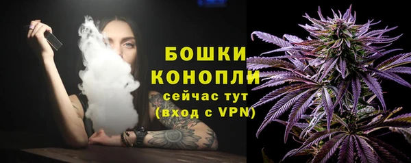 стаф Горняк