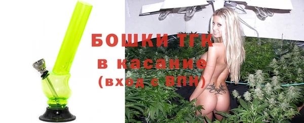 стаф Горняк