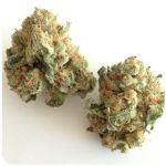 Шишки "White Widow"  (Белая вдова)  Гидропоника -  Бошка VHQ в Высоцке